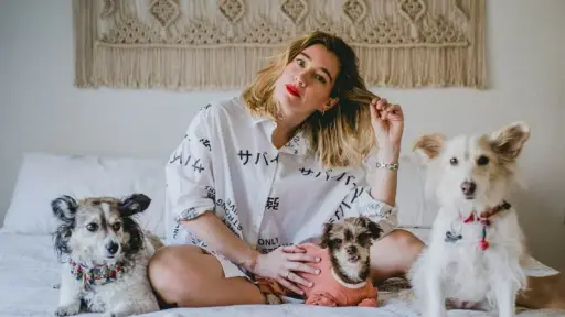 Camila SA ,El Diván